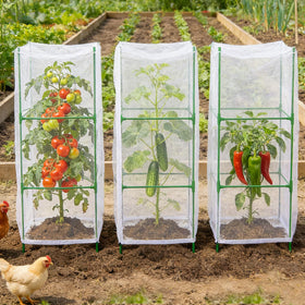NRWRTY ideal for balconies, backyards, and community gardens.