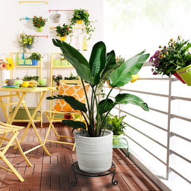 NSYOOMH heavy-duty iron plant stand in black for indoor use.