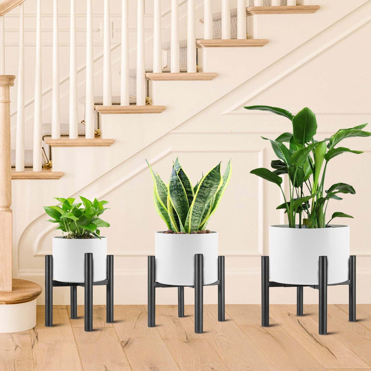 NSYOOMH pot not included; ready to display your favorite plants.
