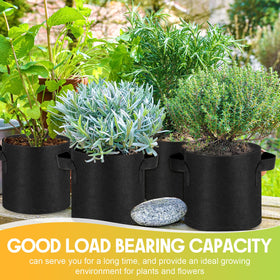 Nuanchu breathable aeration pot promotes airflow around roots