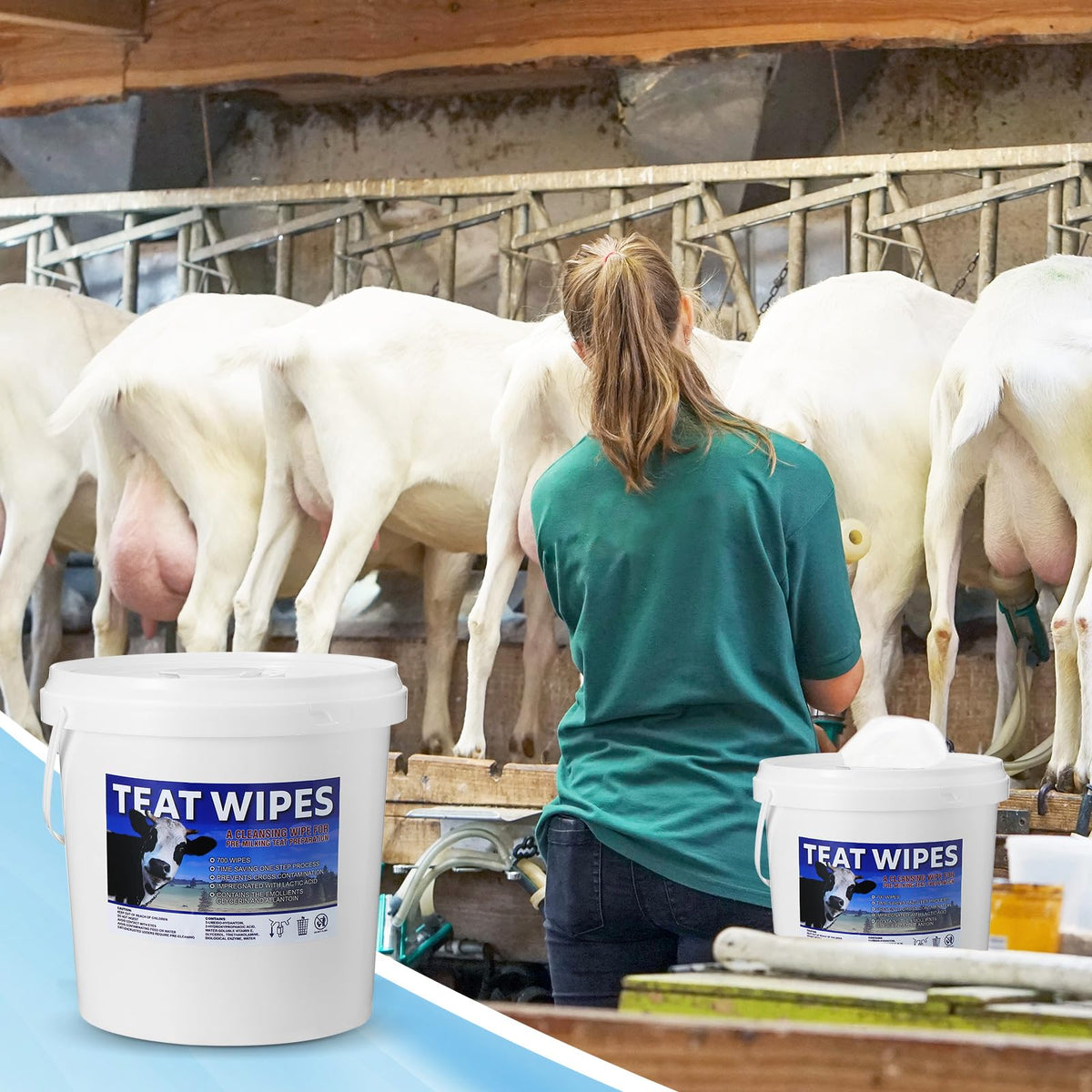 Nuanchu teat wipes used in milking routine for gentle cleansing