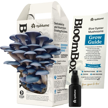 NuBlume BloomBox Blue Oyster Grow Kit box ready to start indoor harvest