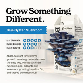 NuBlume BloomBox grow progress view promotes STEM learning at home