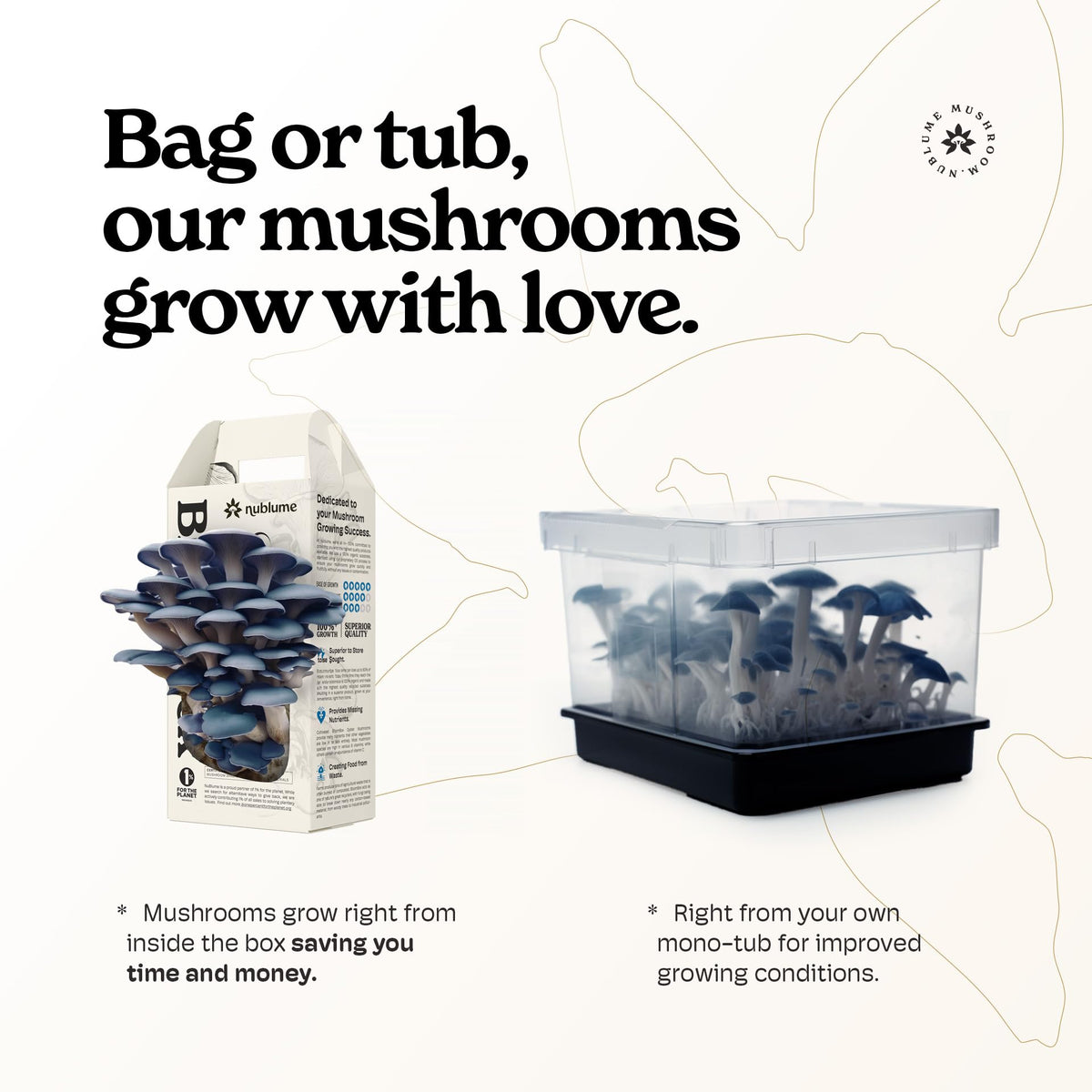 NuBlume BloomBox prepared mushrooms ready to cook in recipes