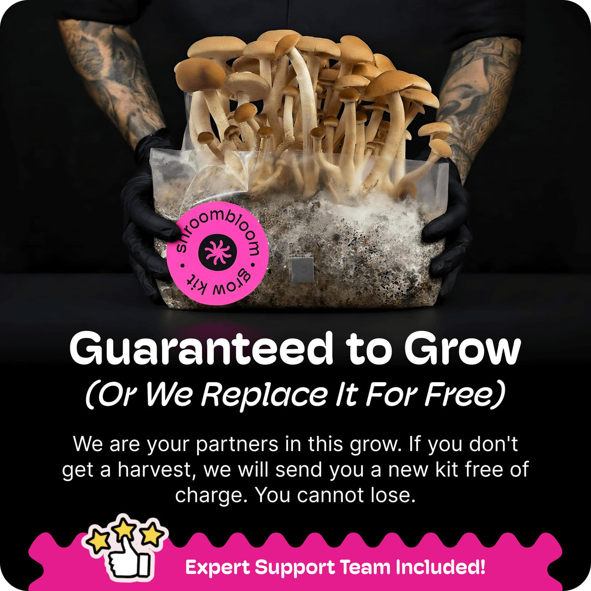 NuBlume guaranteed grow replacement policy offers risk-free beginner experience