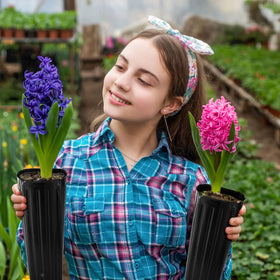 Nuenen 12 x 4 inch pots help maximize space in small gardens