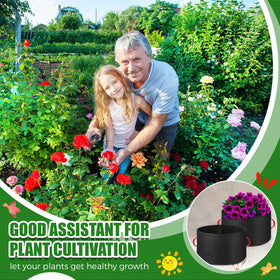 Nuenen large-capacity grow bags support ample root space for growth.