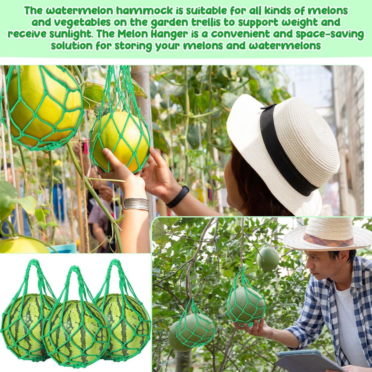 Nuenen melon plant support closeup shows sturdy nylon mesh.