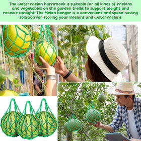 Nuenen melon plant support closeup shows sturdy nylon mesh.
