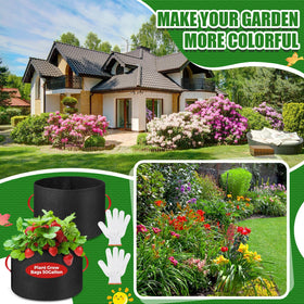 Nuenen nonwoven breathable fabric grow bag for root-friendly growth