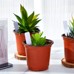 Nuenen PP plastic is lightweight, reusable, and washable for long-term use