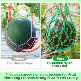 Nuenen pumpkin and cantaloupe use-case with versatile support.