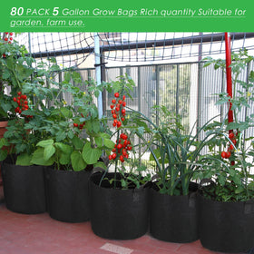 Nuenen reinforced handles close-up, sturdy grip for moving plants