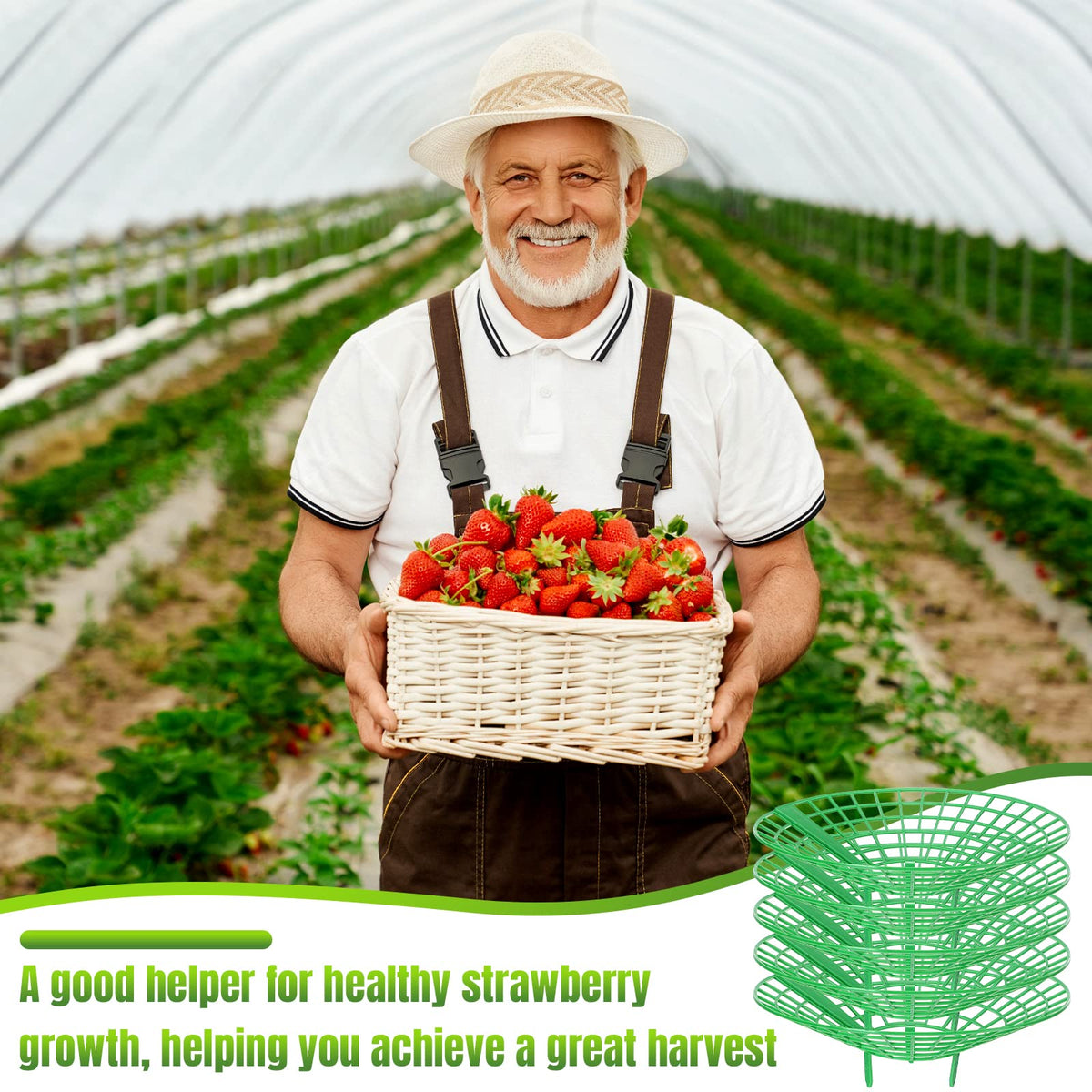Nuenen garden-rack helps strawberries grow in neat rows along stems.