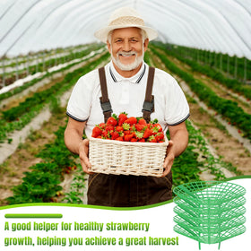 Nuenen garden-rack helps strawberries grow in neat rows along stems.
