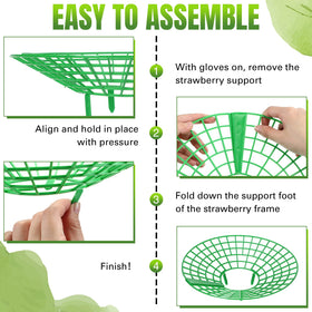 Nuenen green-frame protects fruit and supports long-term reuse.