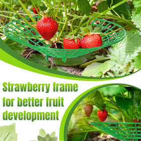 Nuenen strawberry supports ground insert simplifies setup in garden beds.