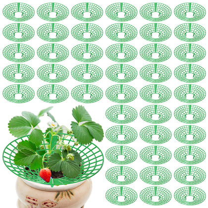 Nuenen strawberry supports round base helps keep fruit off soil for cleaner harvest.