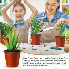 Nuenen indoor tabletop display shows compact garden creativity and neat organization