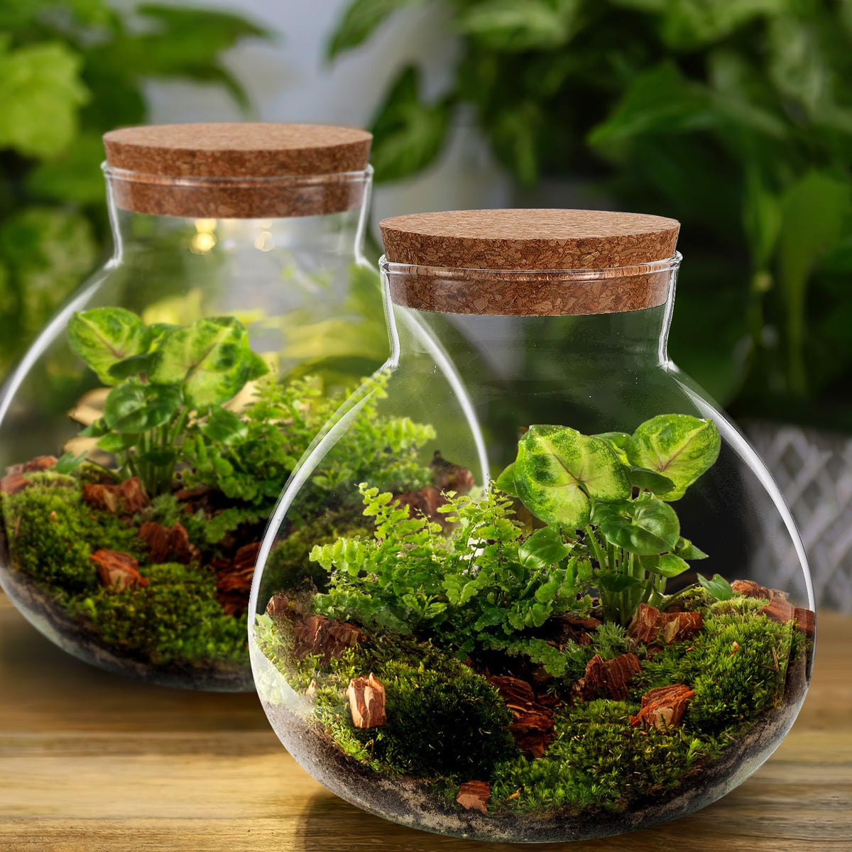 NUOBESTY creative landscape miniatures inside a transparent terrarium