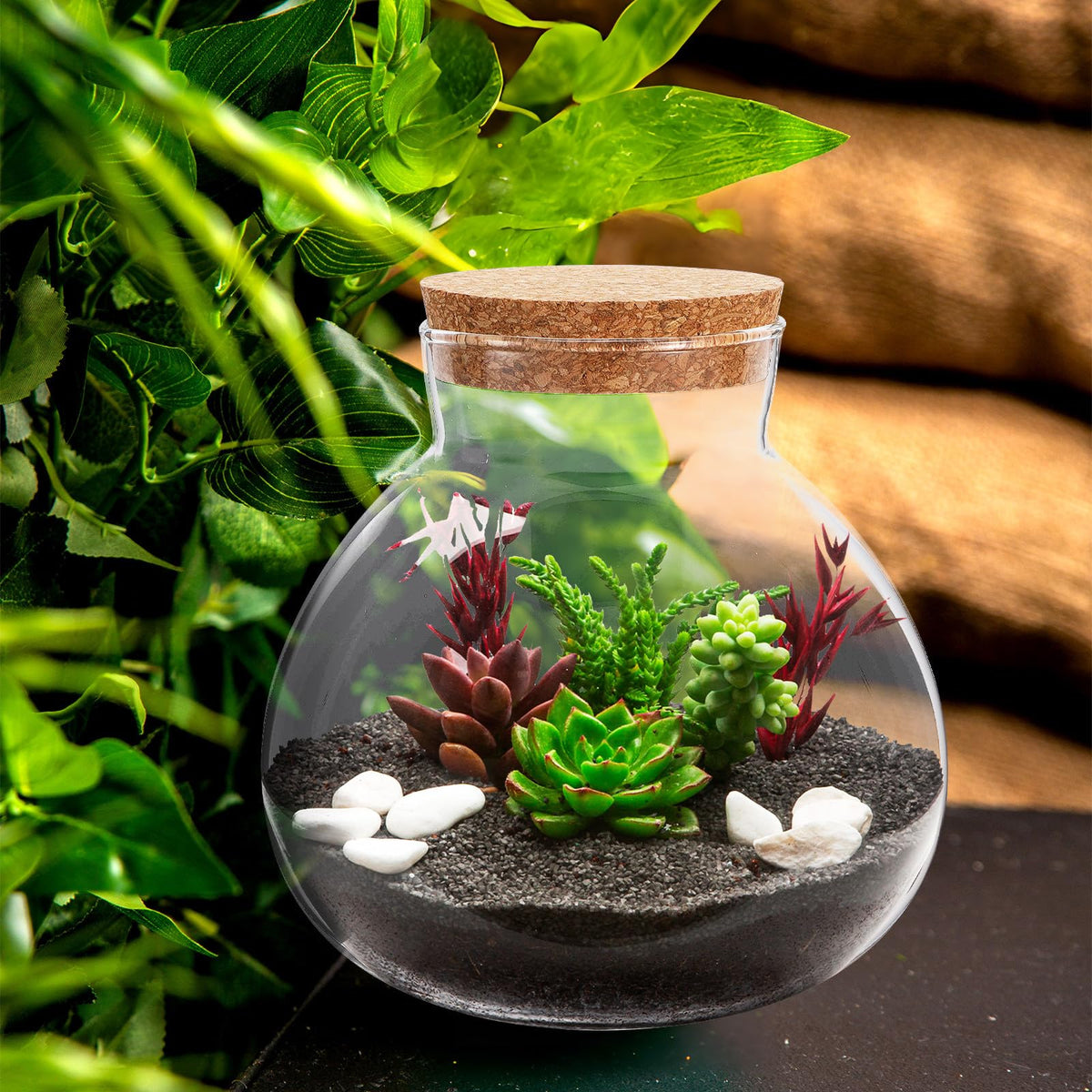 NUOBESTY DIY miniature world inside a round glass terrarium