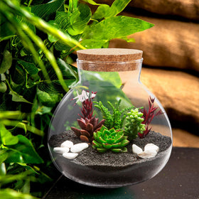 NUOBESTY DIY miniature world inside a round glass terrarium