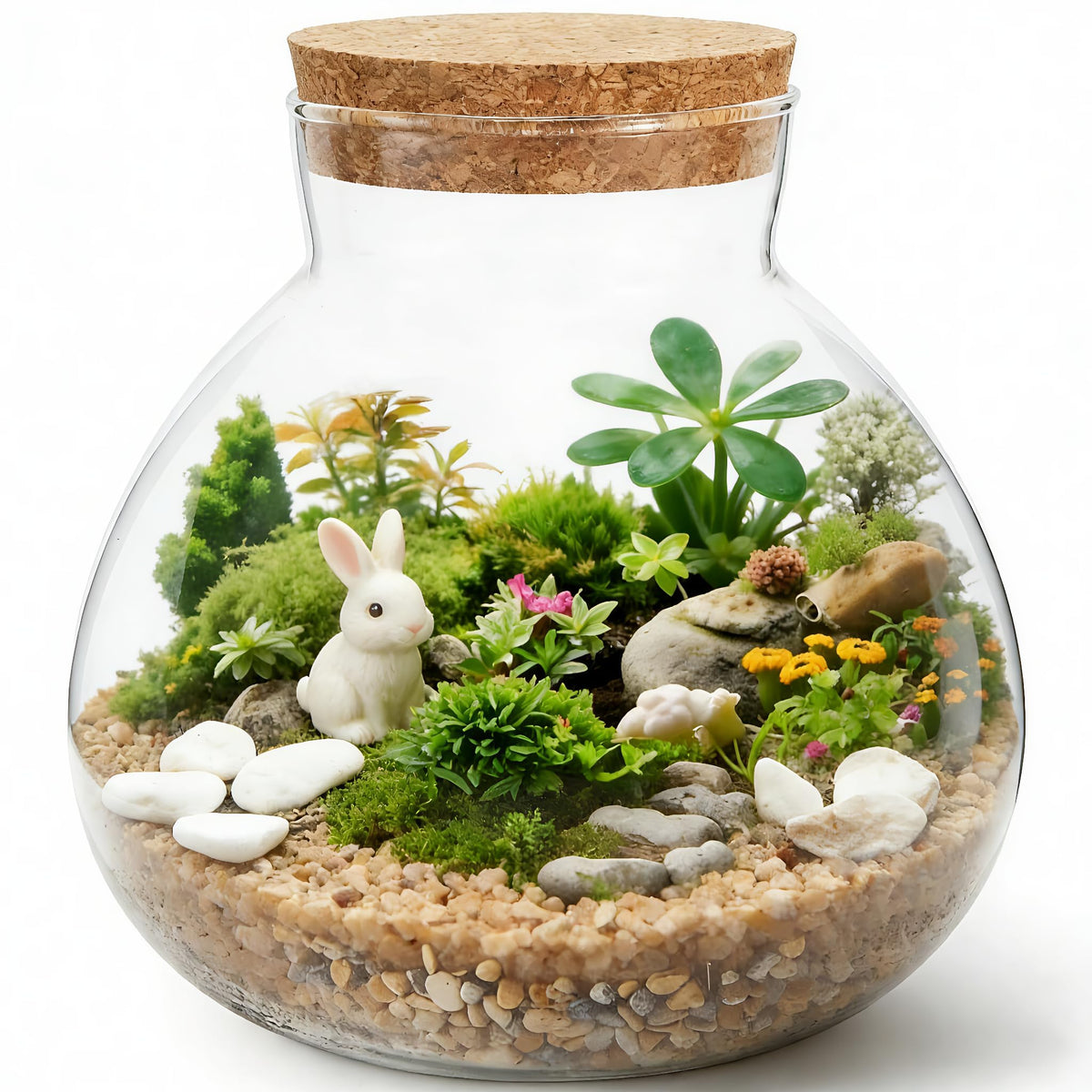 NUOBESTY glass terrarium jar with cork lid showing compact 6x6 design for desk display
