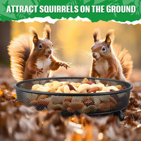 Nuogo 4pack bird feeder trays for multiple feeding spots.