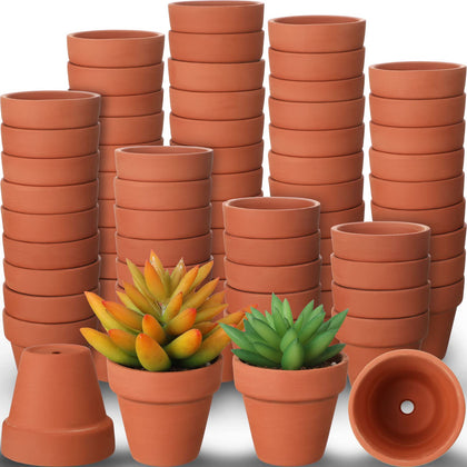 Nuogo mini terracotta pot 2-inch for compact succulents on a desk, ideal