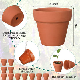 Nuogo terracotta pot with drainage holes supports healthy watering for cacti