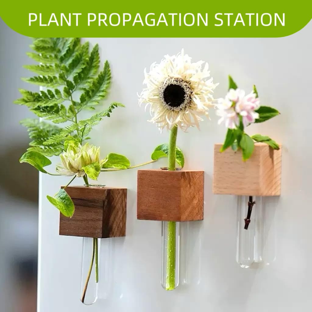 NUOLUTH transparent glass test tubes showcase hydroponic plants with modern style