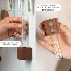 NUOLUTH wall-mount magnetic display adds green decor to kitchen or office
