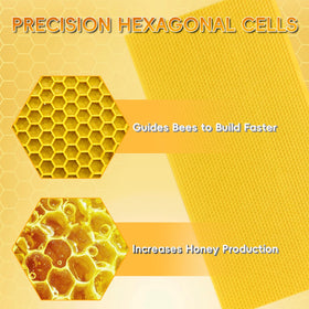 NUOMIC beeswax coating attracts bees for quicker acceptance and faster comb drawing
