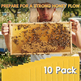NUOMIC compatible with standard beekeeping equipment across Langstroth frames