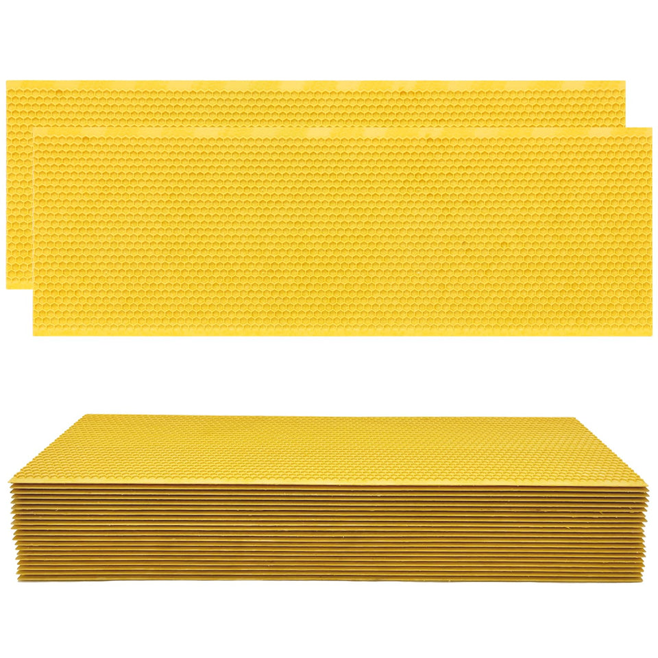 NUOMIC natural beeswax coated frame attracts bees and speeds comb drawing.