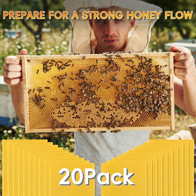 NUOMIC ready-to-use foundation for new hives or replacement.