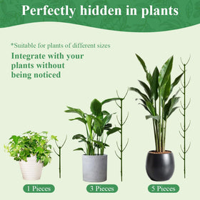 Nuotuv easy-installation stake minimizes root disturbance during setup