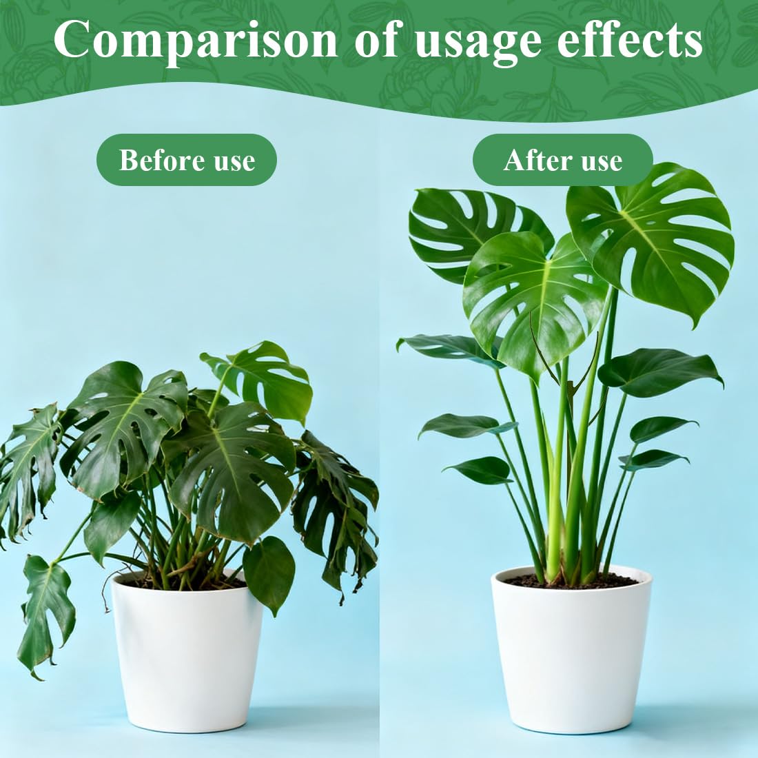Nuotuv moss-pole alternative supports a broad range of climbing plants