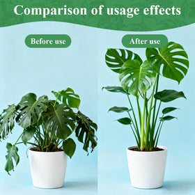 Nuotuv moss-pole alternative supports a broad range of climbing plants