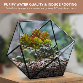 NUPICK lava rocks layered as vase filler and top dressing for color.