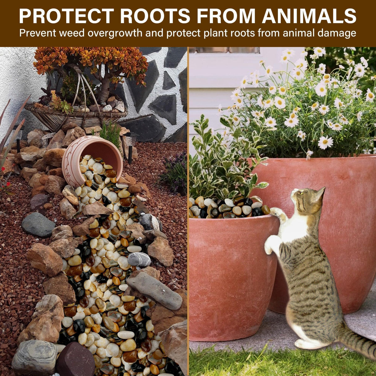 NUPICK rocks for succulents bonsai elevate plant displays with smooth surfaces