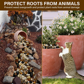 NUPICK rocks for succulents bonsai elevate plant displays with smooth surfaces