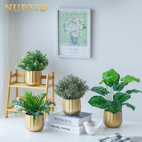 NUPTIO gold-vase-lustrous-finish adds timeless shine to rooms.