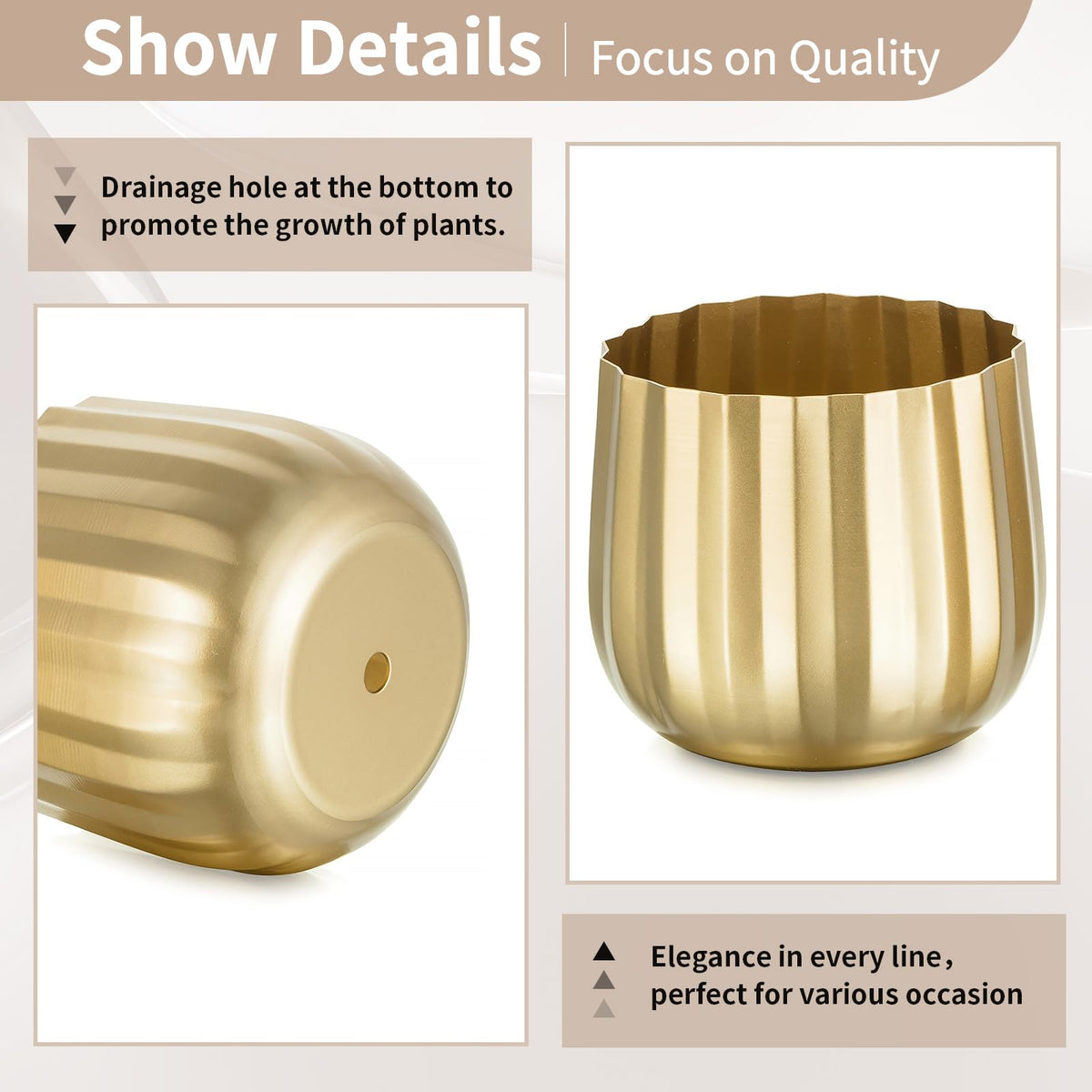 NUPTIO plant-pot-succulents-ornamental ideal for small greens.