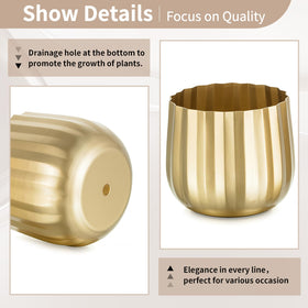 NUPTIO plant-pot-succulents-ornamental ideal for small greens.