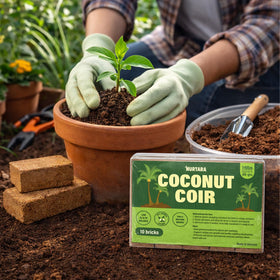 NURTARA coco peat for indoor seed starting and seedlings.