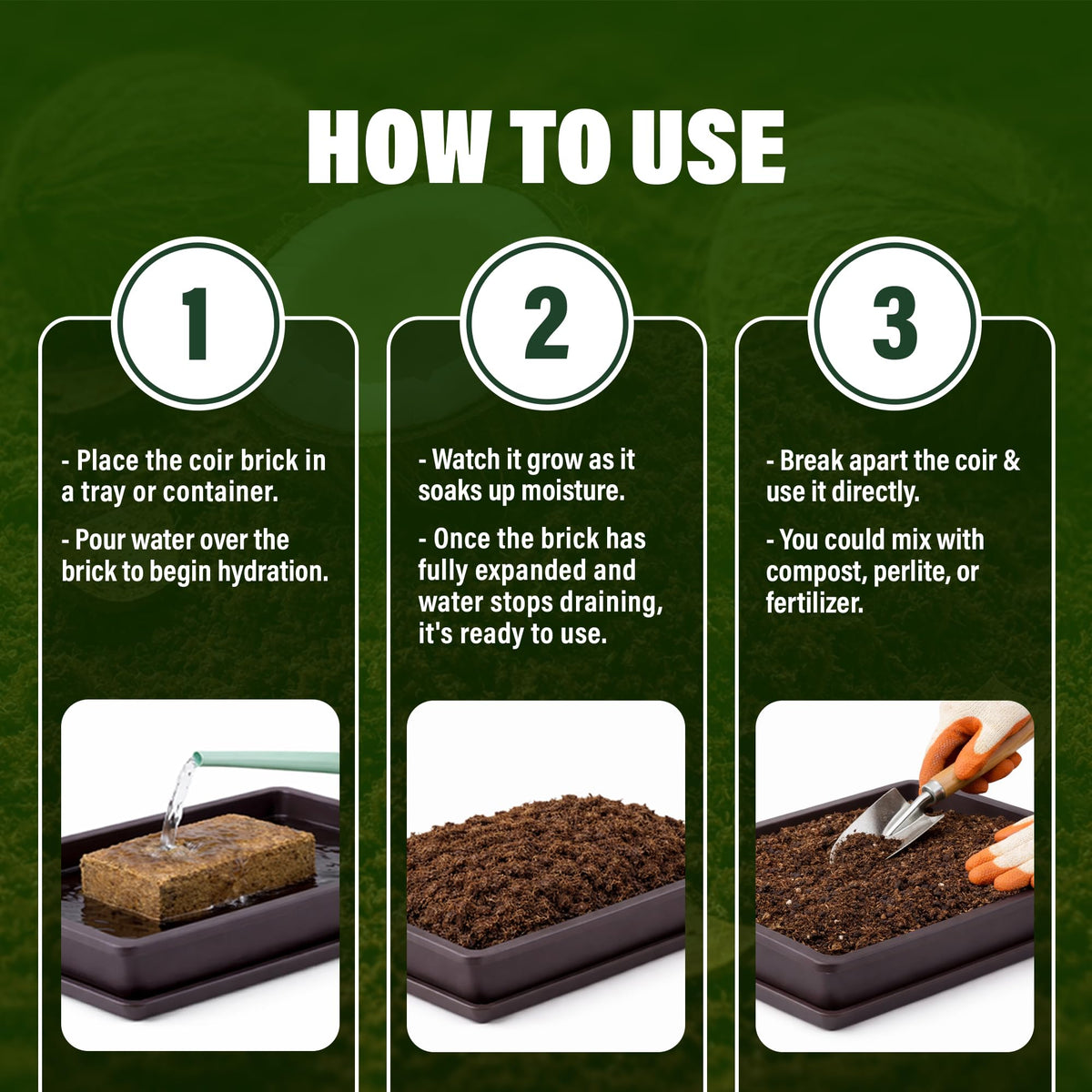 NURTARA coir terrarium base supports reptiles and plants.