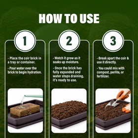 NURTARA coir terrarium base supports reptiles and plants.