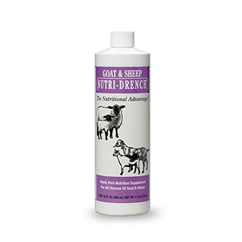 Nutri-Drench goat & sheep supplement bottle for rapid energy and immune support.