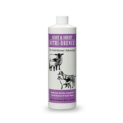 Nutri-Drench goat & sheep supplement bottle for rapid energy and immune support.